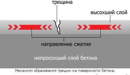 Образование трещин из-за недостатка влаги.